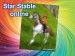 Star Stable online